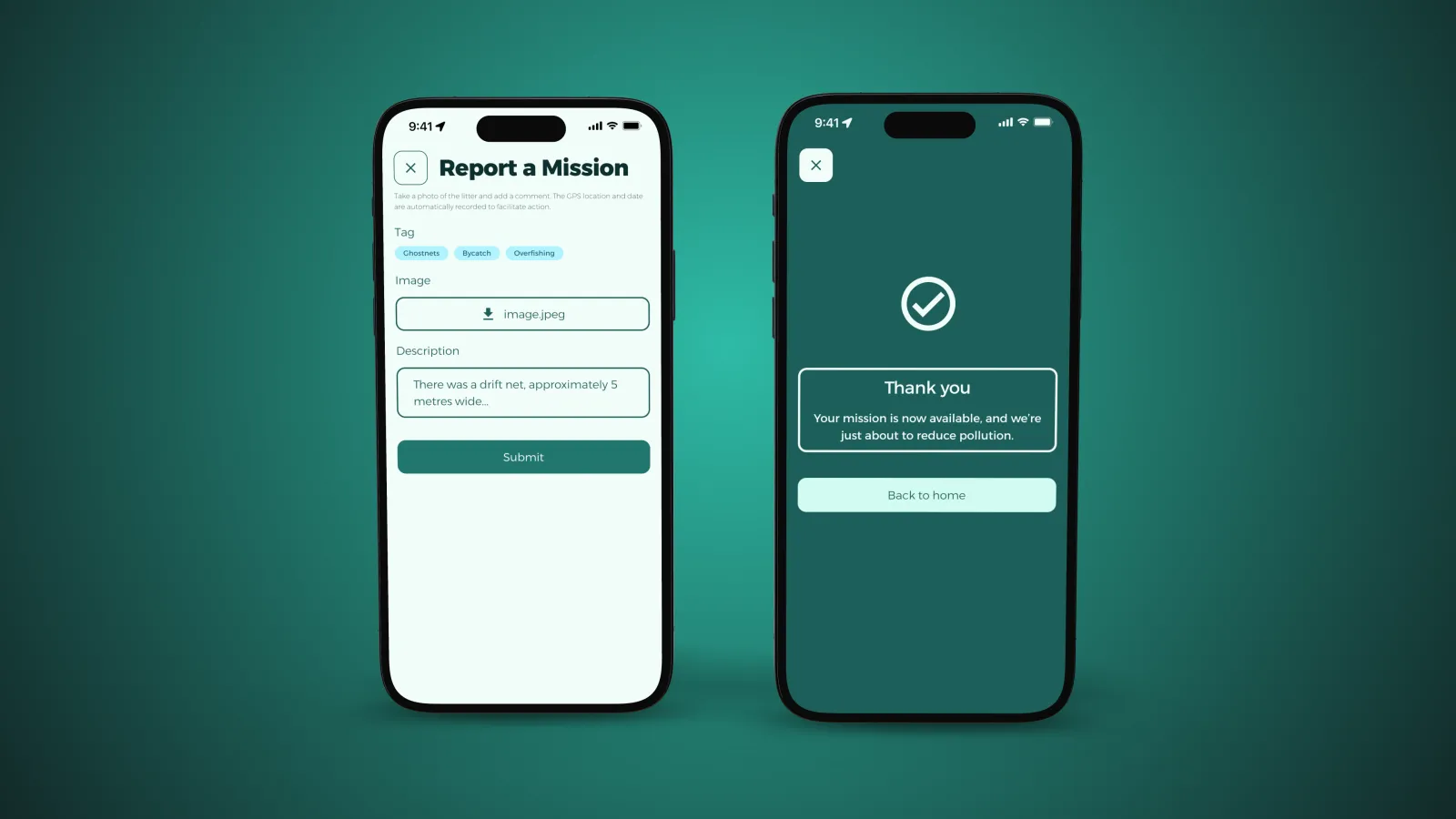 The reporting form and its confirmation