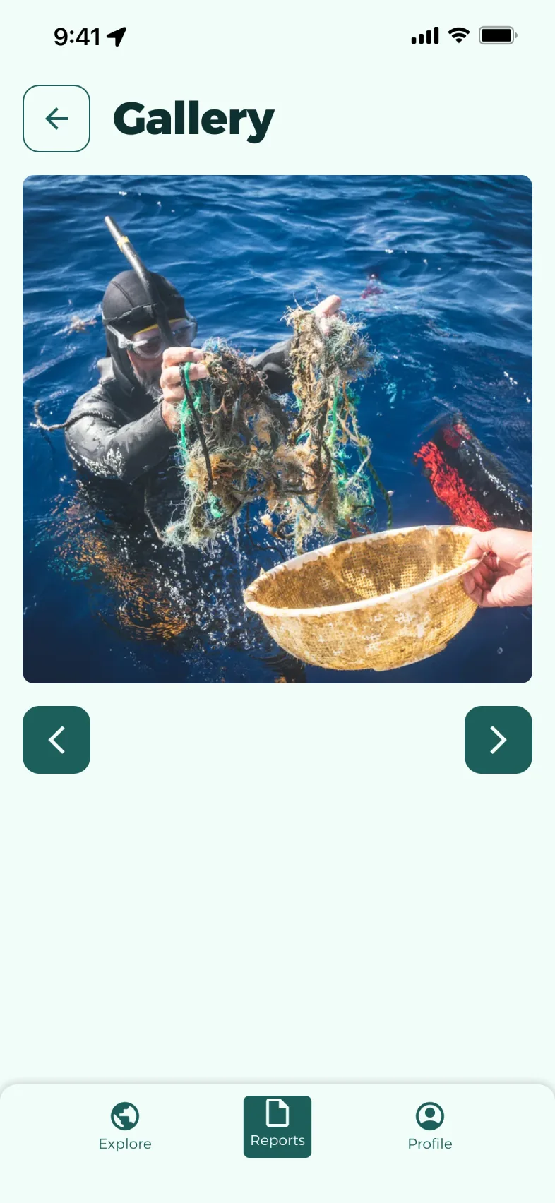 A full-size photo, with arrows to move to the next one
