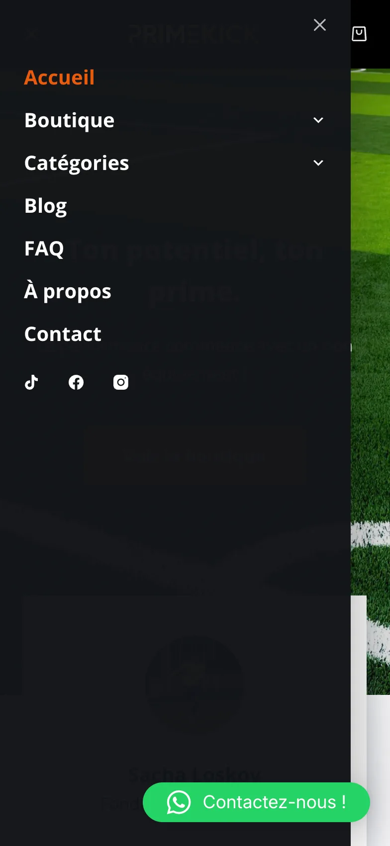 The navigation menu on mobile